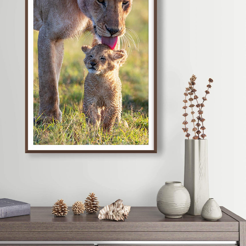 Fine art photographic print by Jonathan and Angela Scott, depicting Cloudy Eye of the Marsh Pride and her 4-month-old cub.