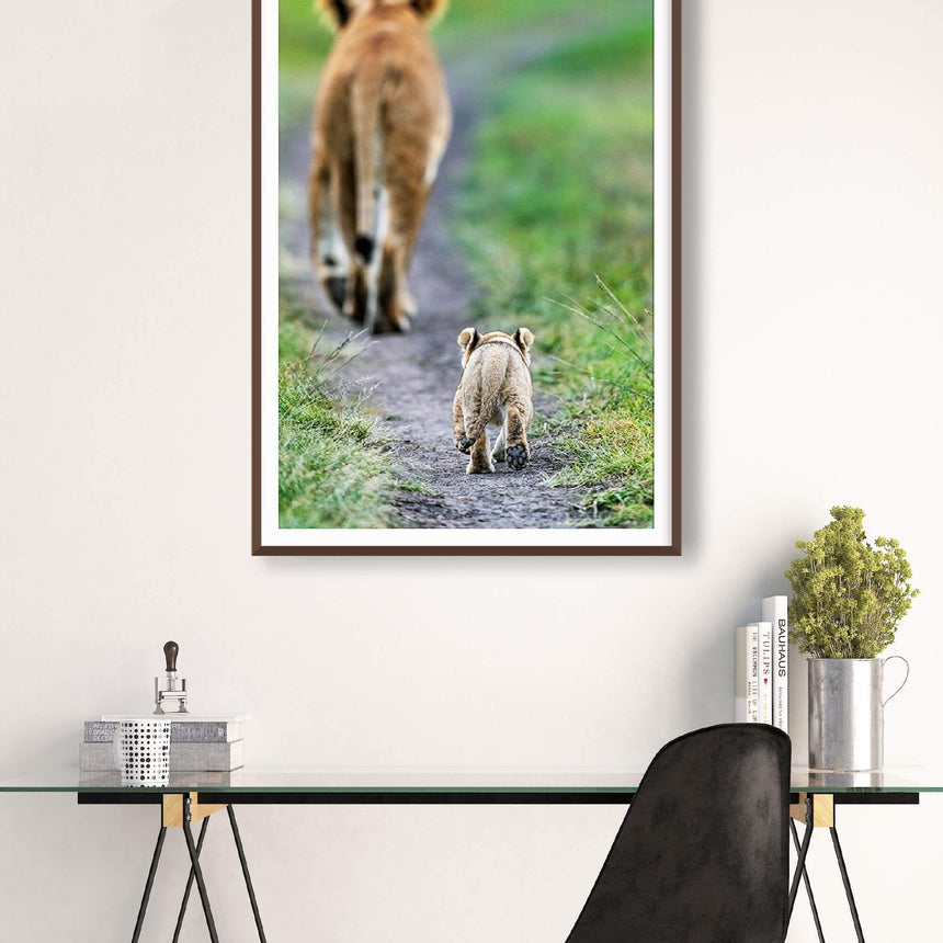 Fine art photographic print by Jonathan and Angela Scott, depicting a lioness, Little Red, followed closely by her cub.