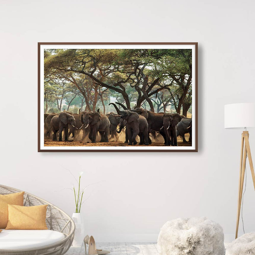 Fine art photographic print by Jonathan and Angela Scott, depicting a herd of elephants greeting each other in Tanzania.