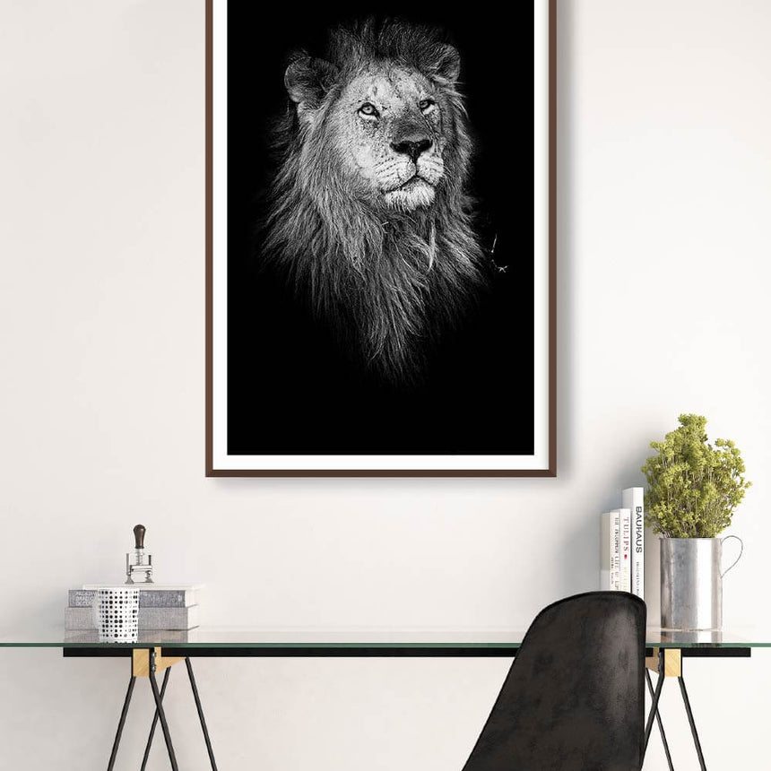 Fine art photographic print by Jonathan & Angela Scott, depicting a stunning black & white portrait of a male lion in Kenya.