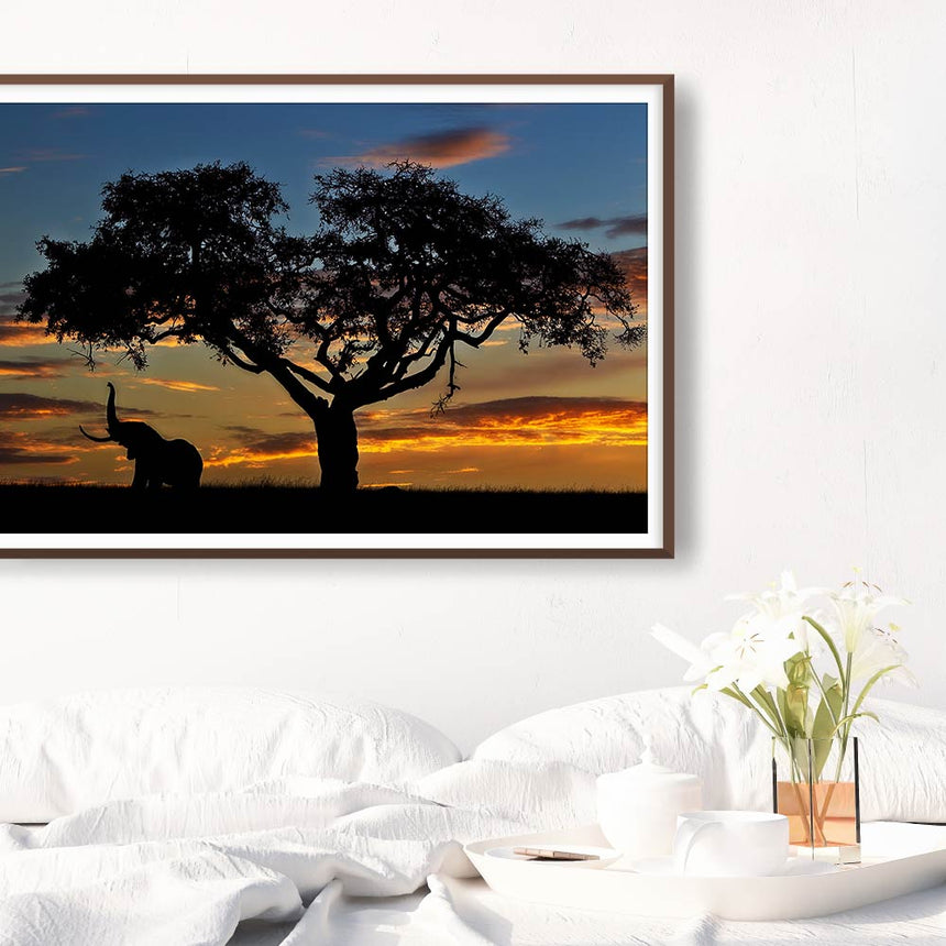 Fine art photographic print by Jonathan and Angela Scott, depicting an elephant under a fig tree in Maasai Mara, Kenya.