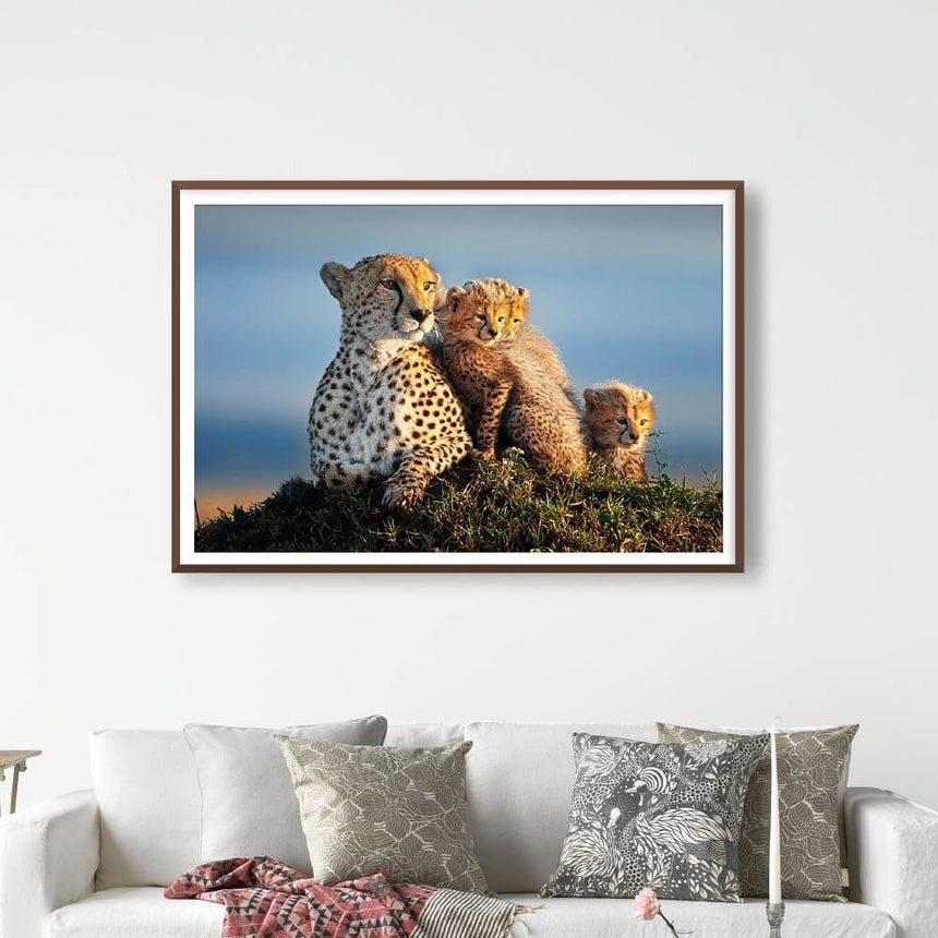 Fine art photographic print by Jonathan and Angela Scott, depicting Shakira cuddling her cheetah cubs in Maasai Mara, Kenya.
