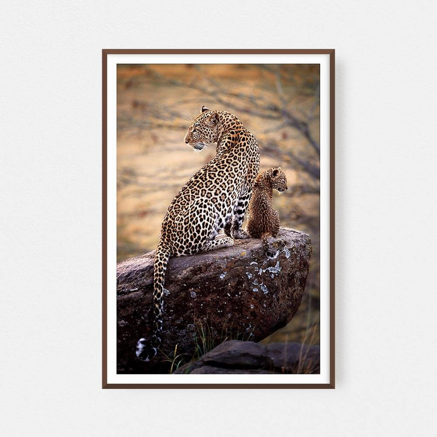Fine art photographic print by Jonathan and Angela Scott, depicting Zawadi the leopard mother and Safi, her cub, in Kenya.