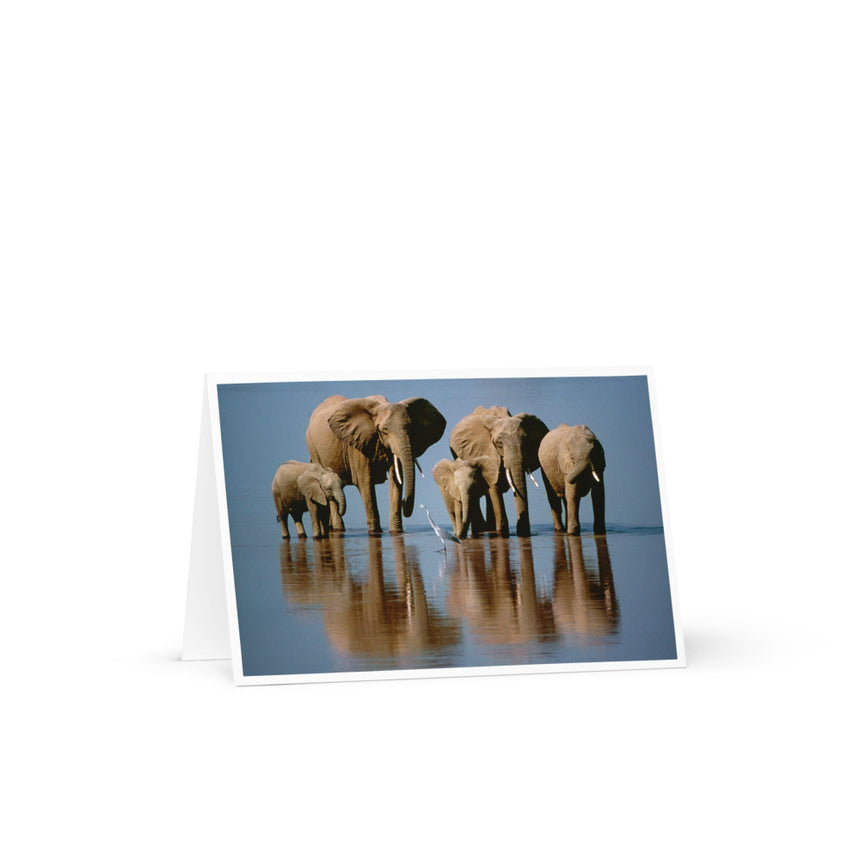 "Elephant Heaven" Greeting Card – 4" x 6"