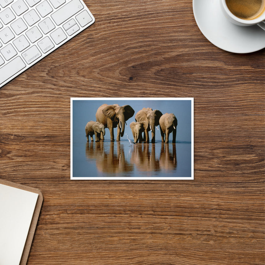 "Elephant Heaven" Greeting Card – 4" x 6"