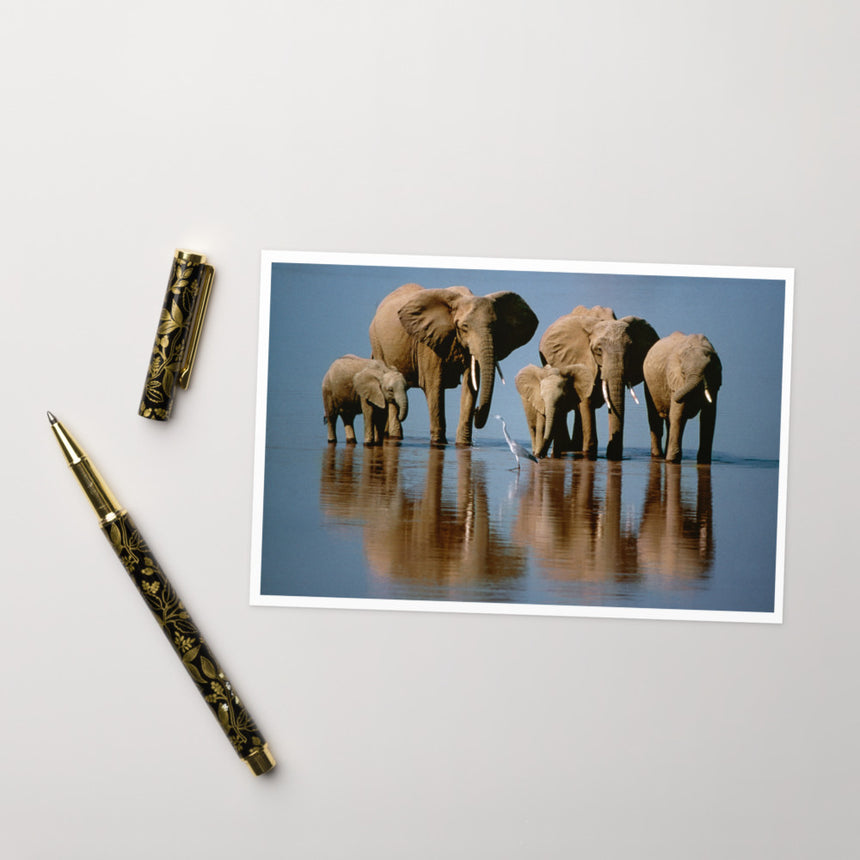 "Elephant Heaven" Greeting Card – 4" x 6"