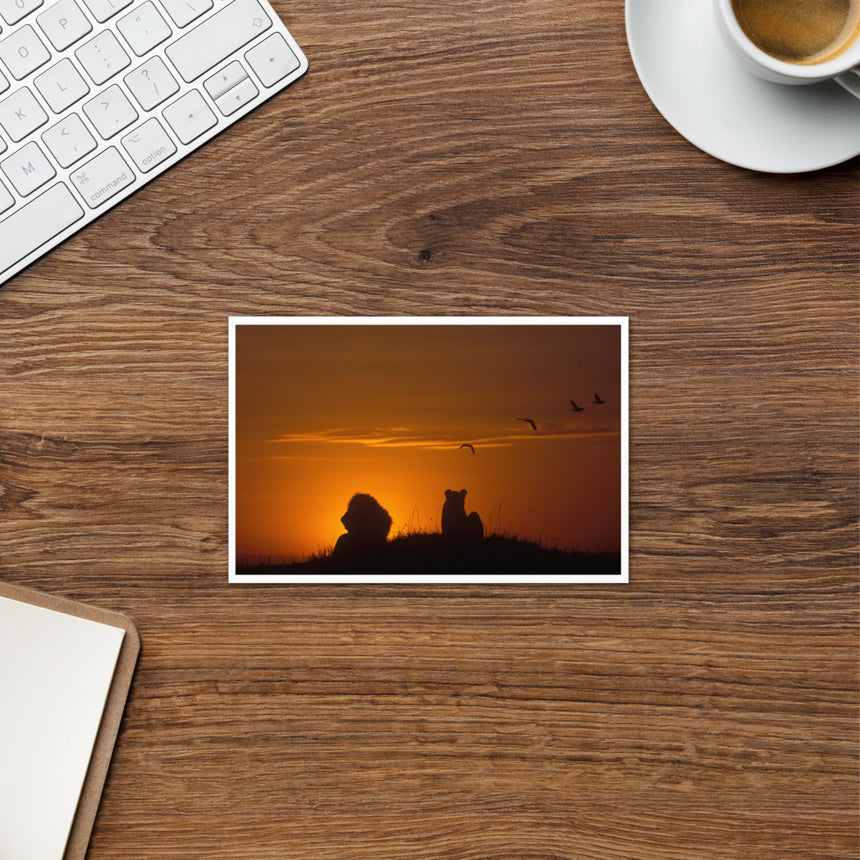 "Savannah Sunrise" Greeting Card – 4" x 6"