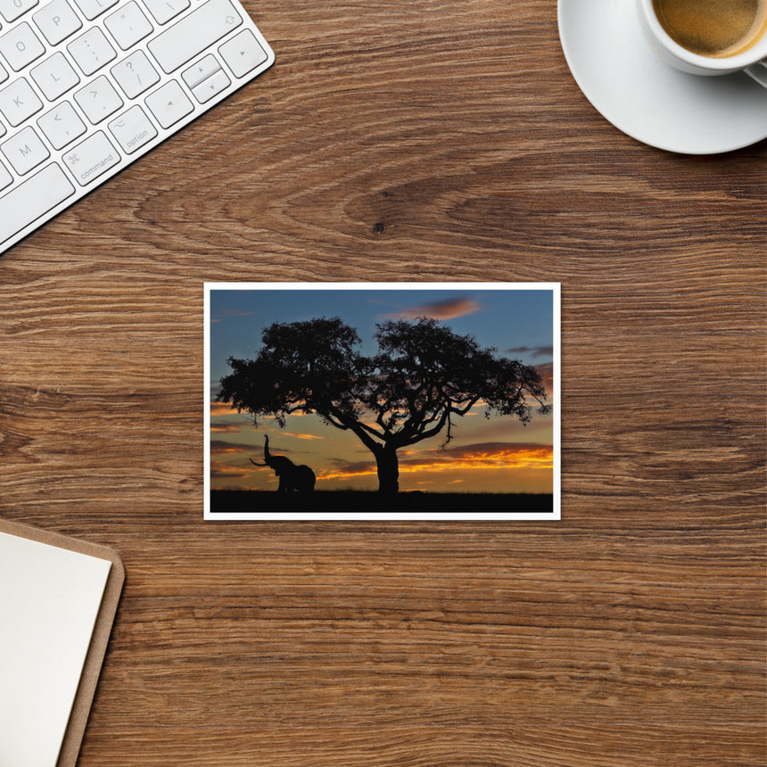 "Reaching for the Heavens" Greeting Card – 4" x 6"