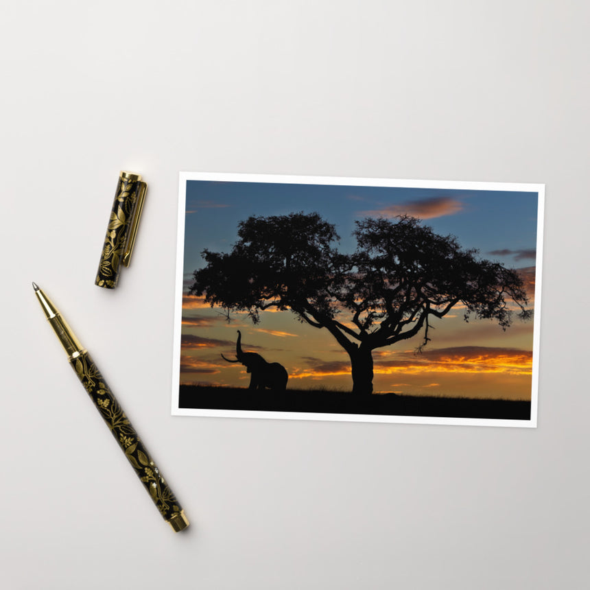 "Reaching for the Heavens" Greeting Card – 4" x 6"