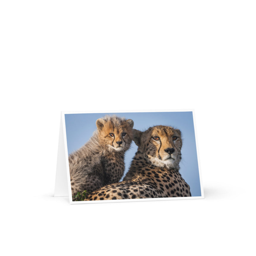"Duma and Shakira" Greeting Card – 4" x 6"