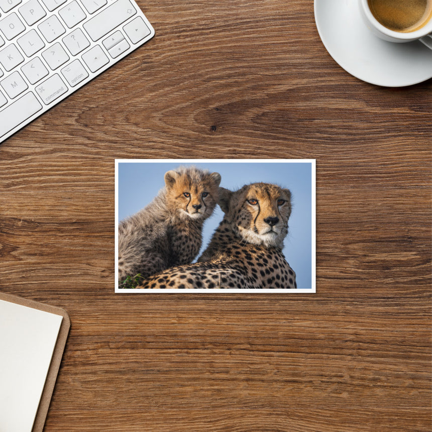 "Duma and Shakira" Greeting Card – 4" x 6"