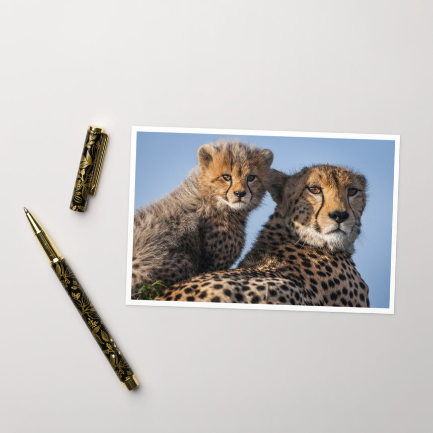"Duma and Shakira" Greeting Card – 4" x 6"