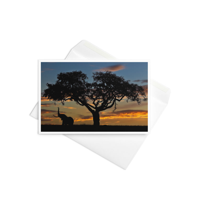 "Reaching for the Heavens" Greeting Card – 4" x 6"