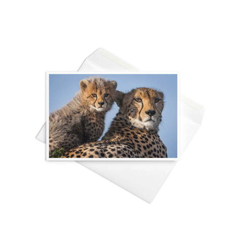 "Duma and Shakira" Greeting Card – 4" x 6"