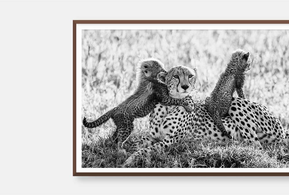 Featured Artwork | Afternoon Playtime – THE BIG CAT PEOPLE