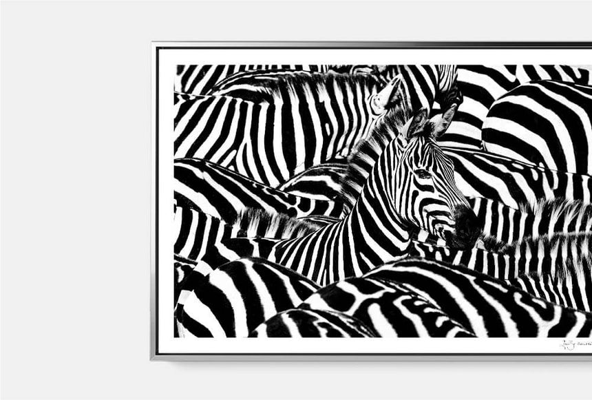 Featured Artwork | Stillness in a Myriad of Stripes