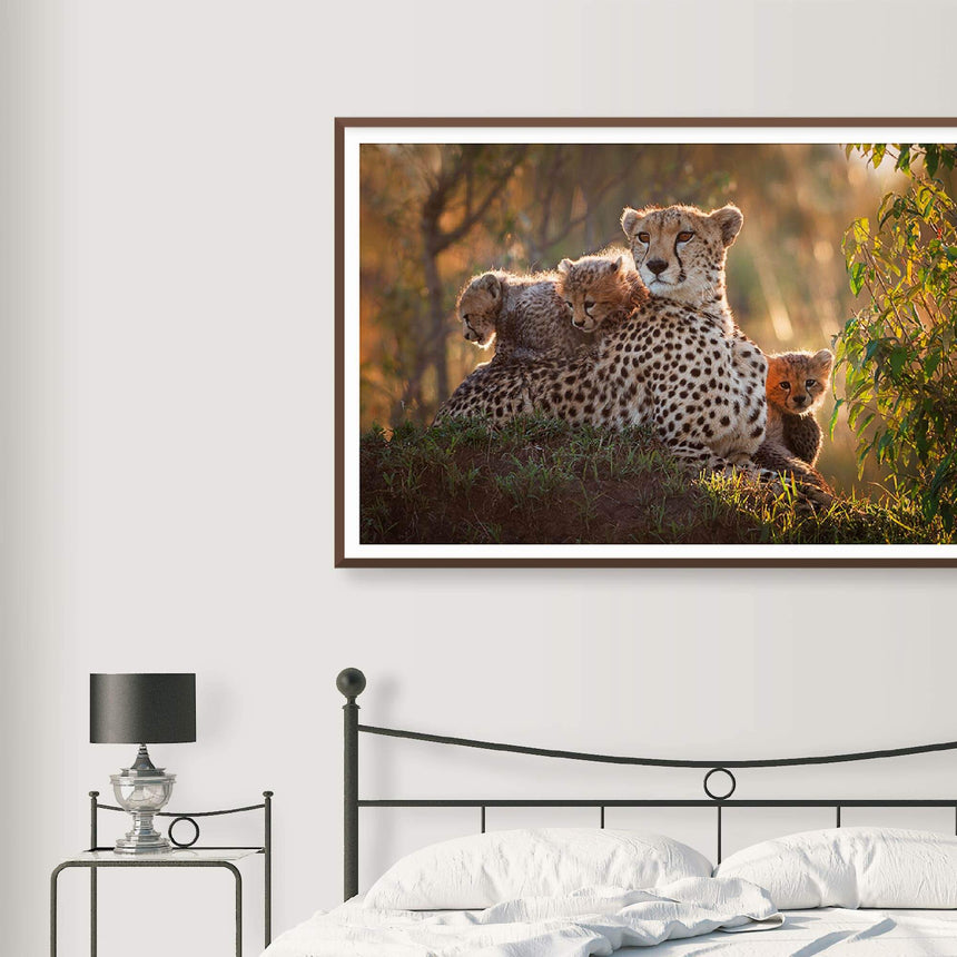Fine art photographic print by Jonathan and Angela Scott, depicting Shakira the cheetah mother and her three cubs in Kenya.