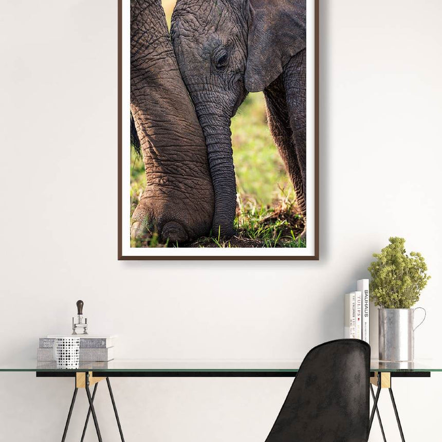 Fine art photographic print by Jonathan and Angela Scott, depicting a cute baby elephant in the Maasai Mara, Kenya.