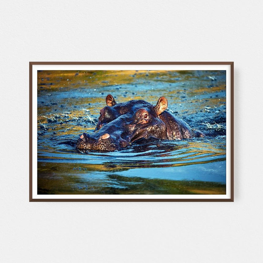 Fine art photographic print by Jonathan and Angela Scott, depicting a hippopotamus in the water in the Maasai Mara, Kenya.