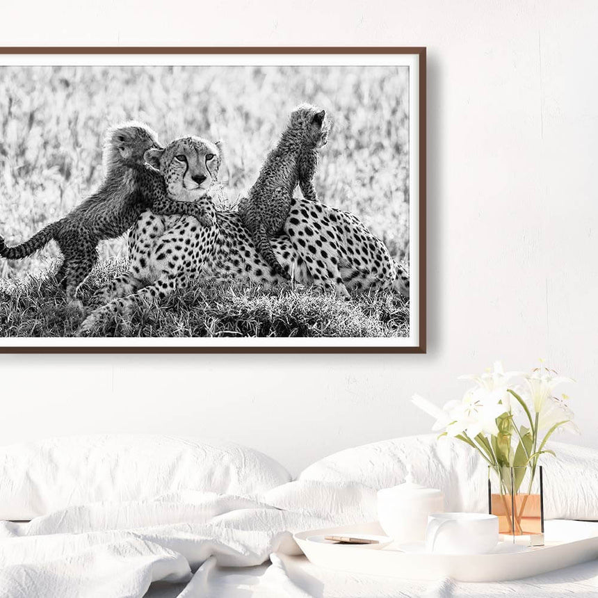 Fine art photographic print by Jonathan and Angela Scott, depicting cheetah mother Shakira and her cubs in Masai Mara, Kenya.