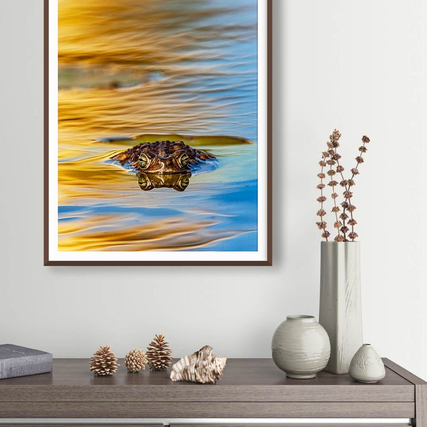 Fine art photographic print by Jonathan and Angela Scott, depicting a frog swimming through beautiful water in Argentina.