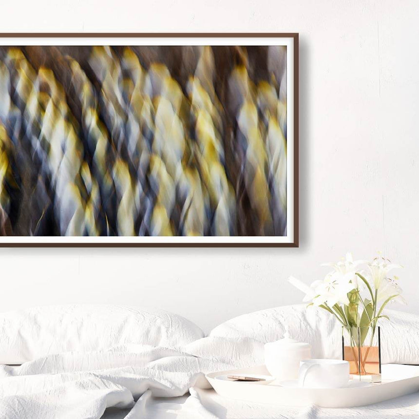 Fine art photographic print by Jonathan and Angela Scott, depicting an abstract penguin colony in South Georgia, Antarctica.