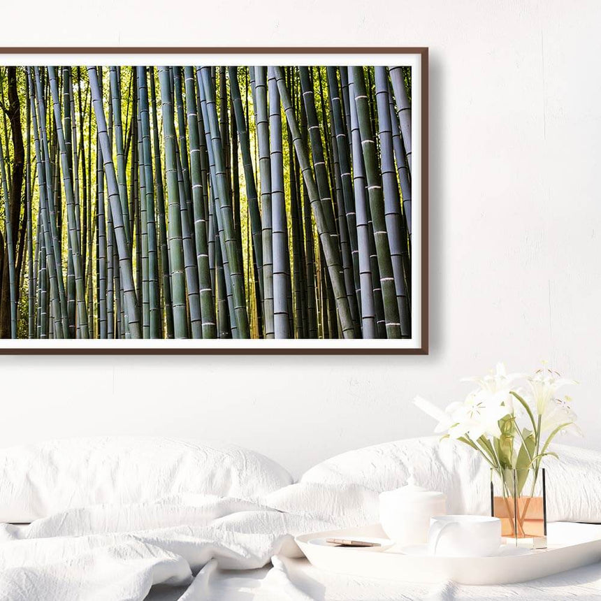 Fine art photographic print by Jonathan and Angela Scott, depicting a beautiful bamboo maze in Japan.