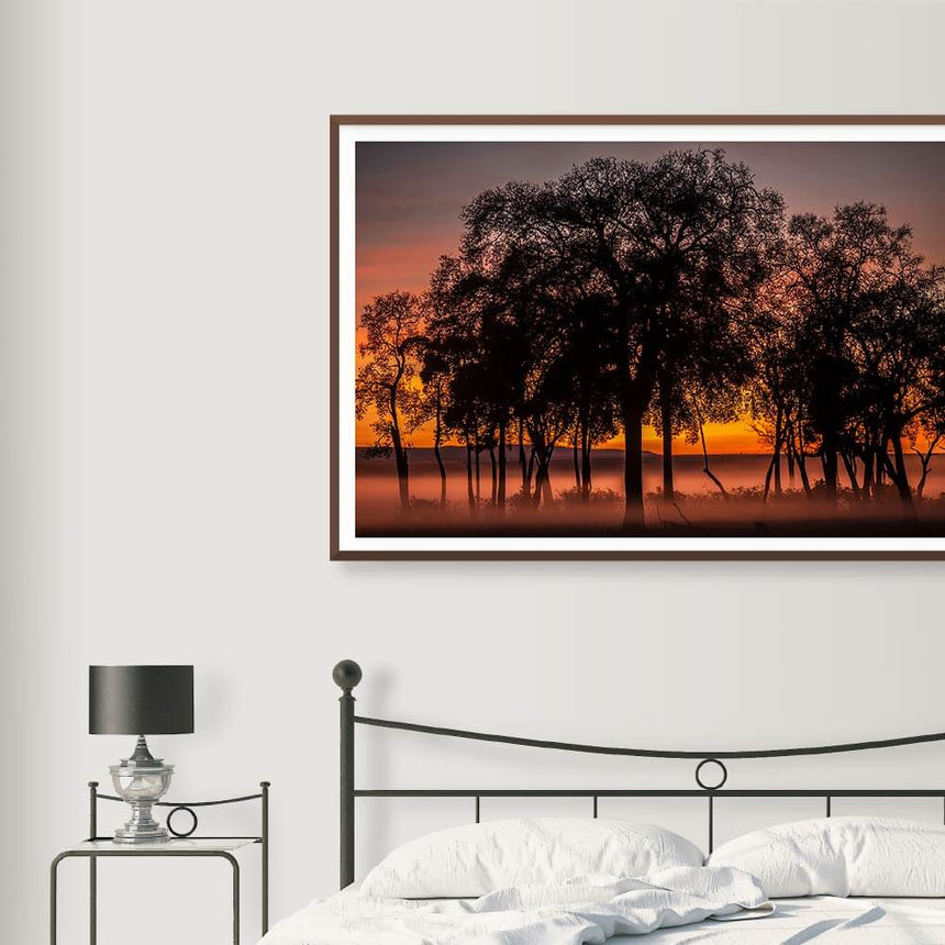 Fine art photographic print by Jonathan and Angela Scott, depicting the silhouette of trees at dawn in Maasai Mara, Kenya.