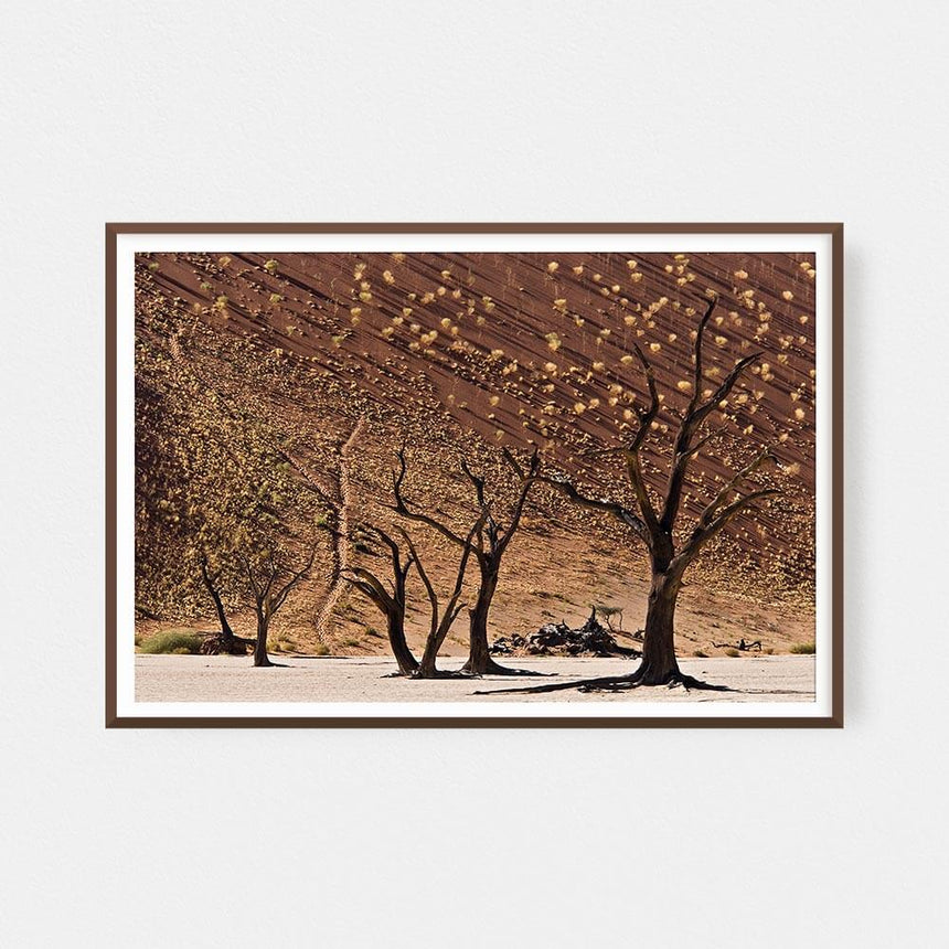 Fine art photographic print by Jonathan and Angela Scott, depicting dead trees in a salt pan in Sossusvlei, Namibia.