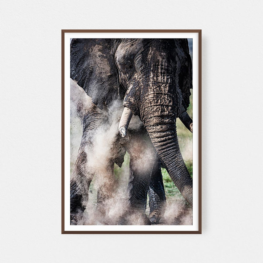 Fine art photographic print by Jonathan and Angela Scott, depicting a bull elephant dusting in Maasai Mara, Kenya.