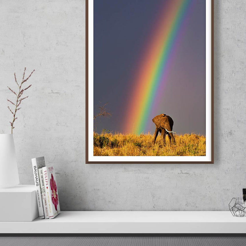Fine art photographic print by Jonathan and Angela Scott, depicting a stunning rainbow over an elephant in Maasai Mara, Kenya.