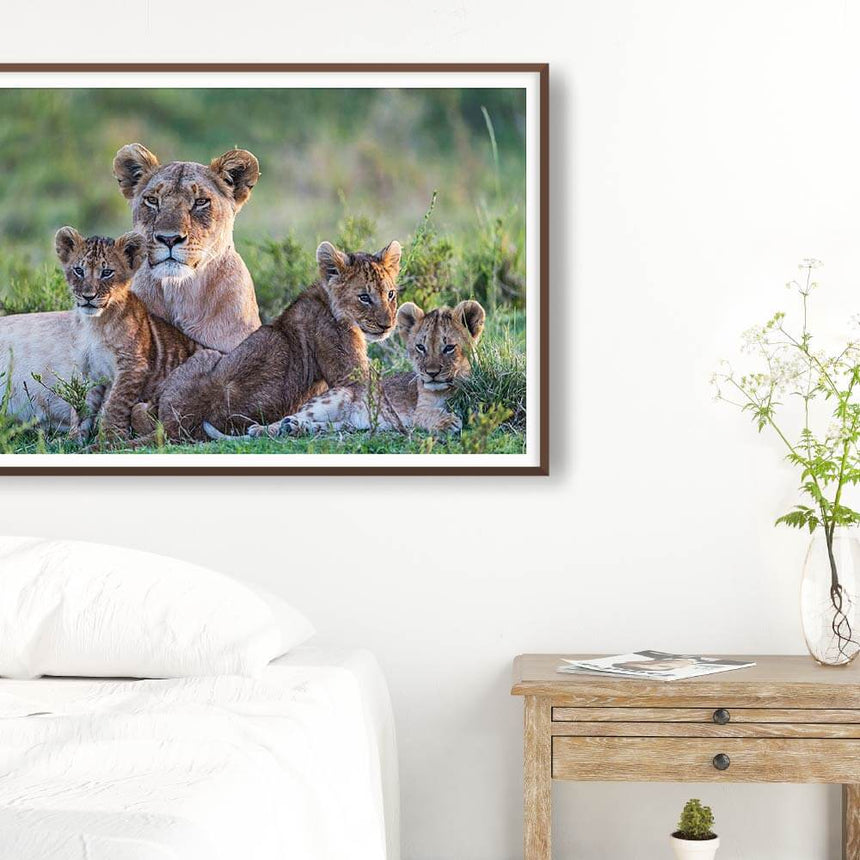 Fine art photographic print by Jonathan and Angela Scott, depicting Dada the lioness and her 3 cubs in Maasai Mara, Kenya.