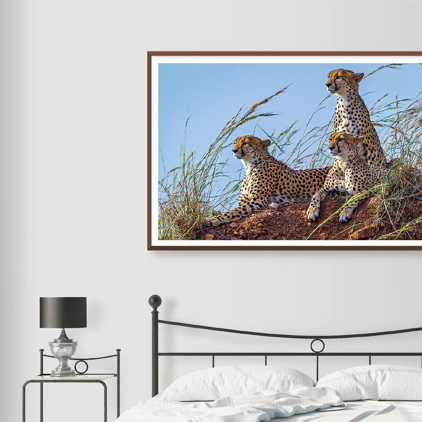 Fine art photographic print by Jonathan and Angela Scott, depicting a mother cheetah and her 2 cubs in Maasai Mara, Kenya.