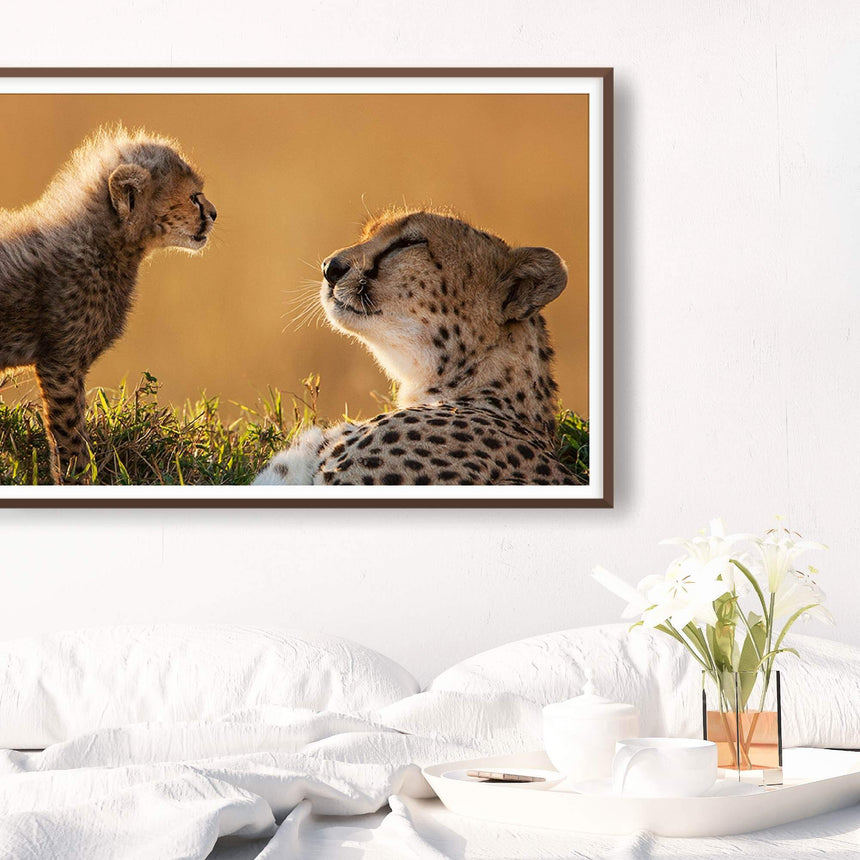 Fine art photographic print by Jonathan and Angela Scott, depicting Honey the cheetah mother and Toto, her little cub.