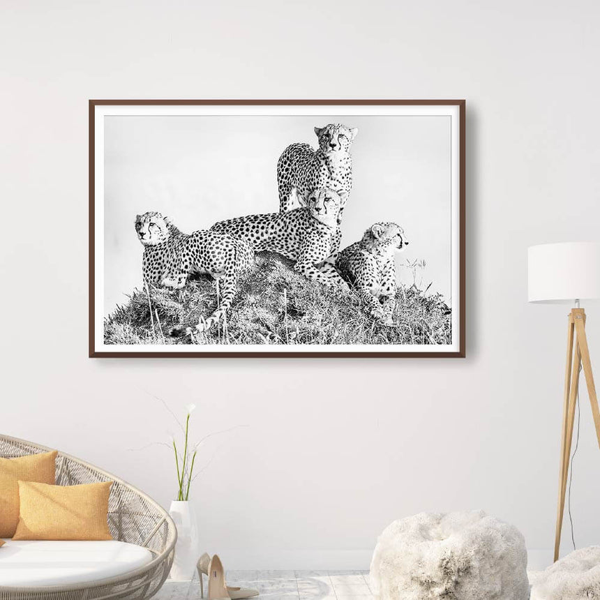 Fine art photographic print by Jonathan and Angela Scott, depicting Kike the cheetah and her 3 cubs in Maasai Mara, Kenya.