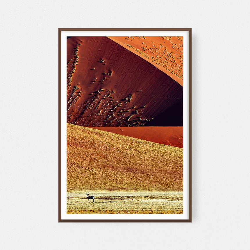 Fine art photographic print by Jonathan and Angela Scott, depicting a regal oryx antelope in Sossusvlei, Namibia.