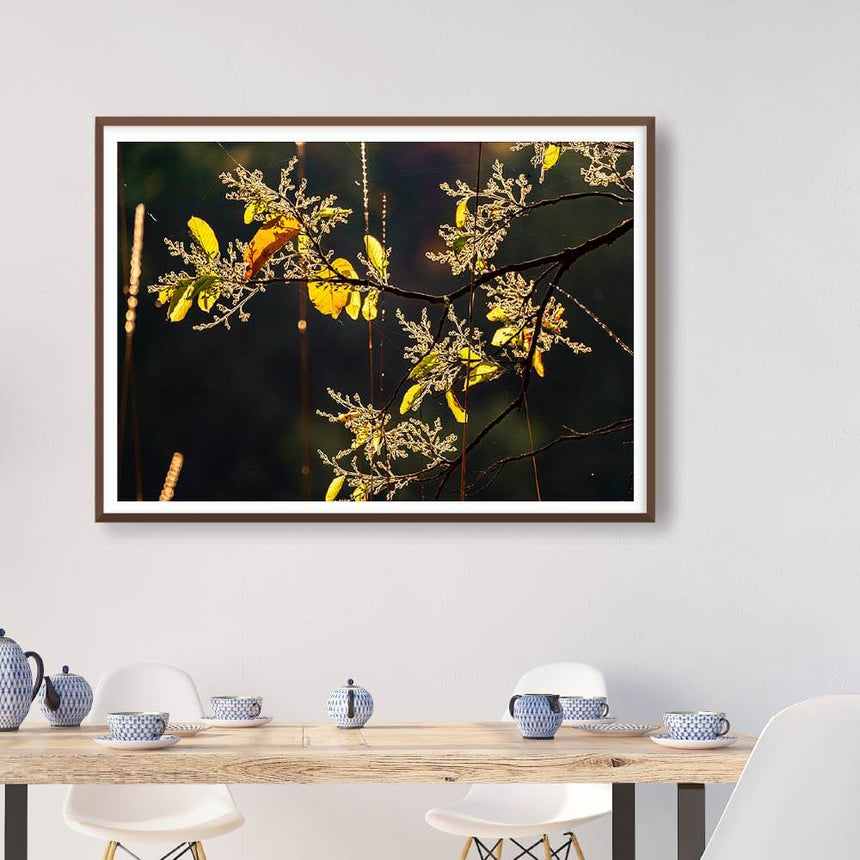 Fine art photographic print by Jonathan and Angela Scott, depicting leaves gleaming gold in Ranthambore National Park.