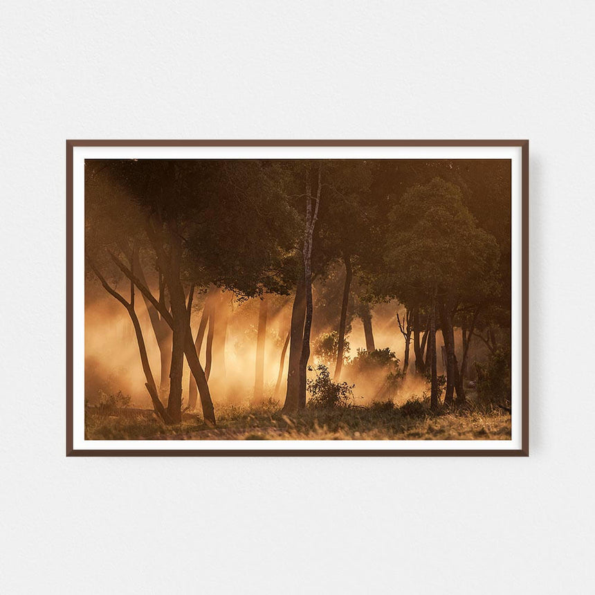 Fine art photographic print by Jonathan and Angela Scott, depicting dust and backlight at sunset in Maasai Mara, Kenya.