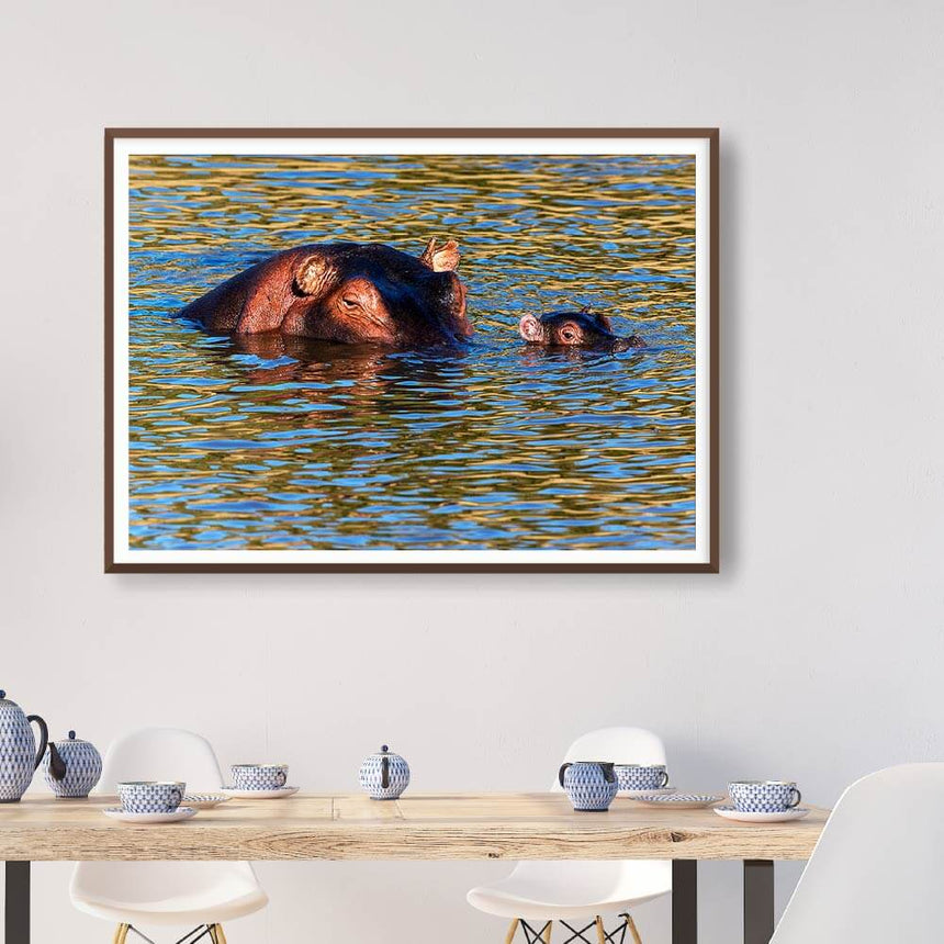 Fine art photographic print by Jonathan and Angela Scott, depicting a mother hippo and her baby swimming in Maasai Mara, Kenya.