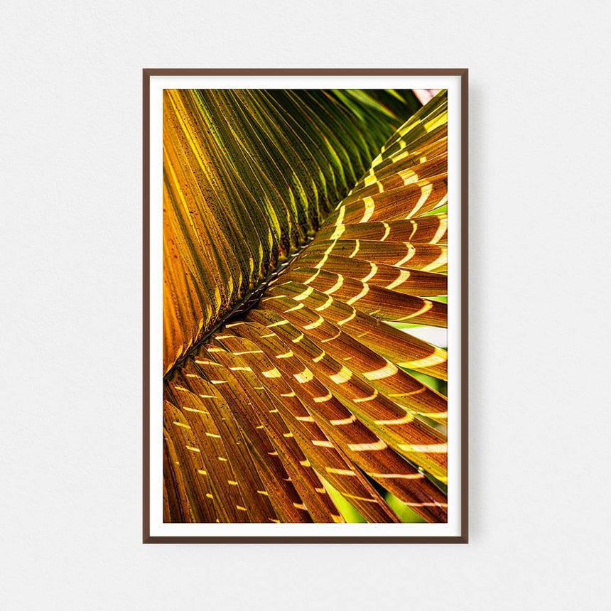 Fine art photographic print by Jonathan and Angela Scott, depicting a palm gleaming gold in the sunlight in Sri Lanka.