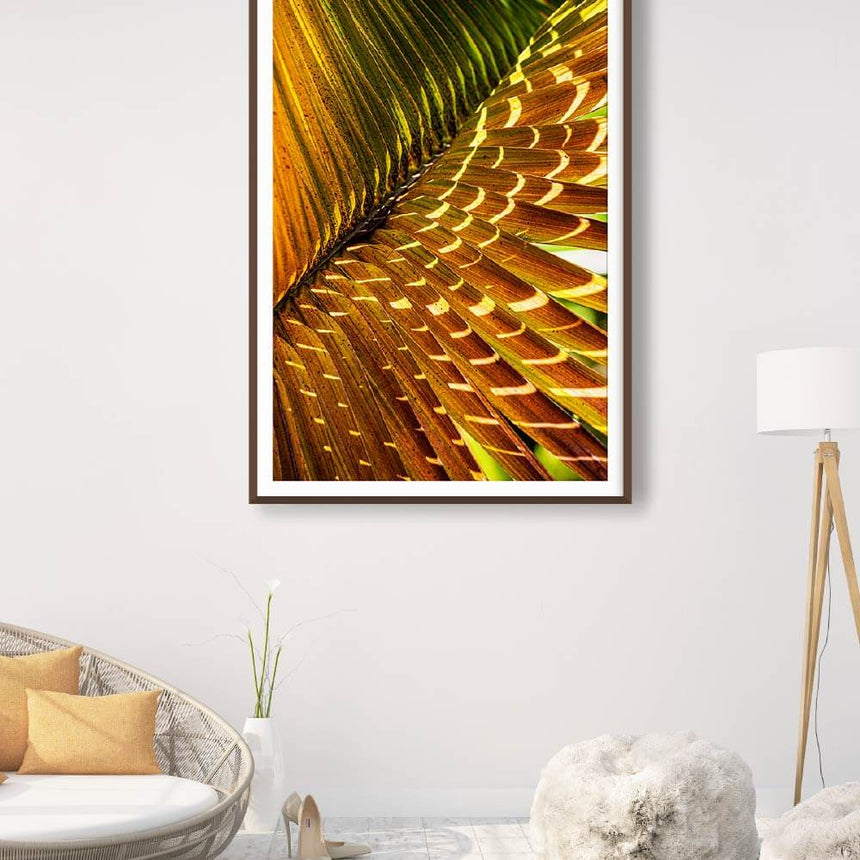 Fine art photographic print by Jonathan and Angela Scott, depicting a palm gleaming gold in the sunlight in Sri Lanka.