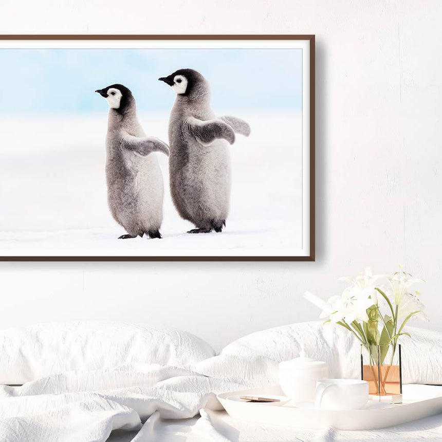 Fine art photographic print by Jonathan and Angela Scott, depicting emperor penguin chicks following the leader in Antarctica.