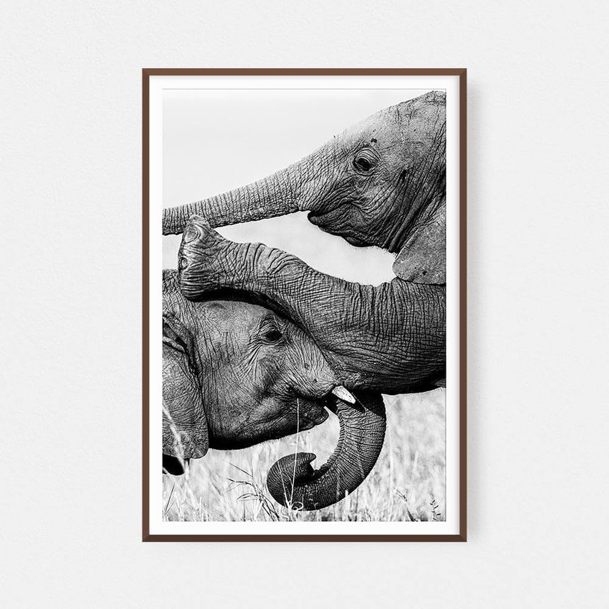 Fine art photographic print by Jonathan and Angela Scott, depicting two young elephants playing in Maasai Mara, Kenya.