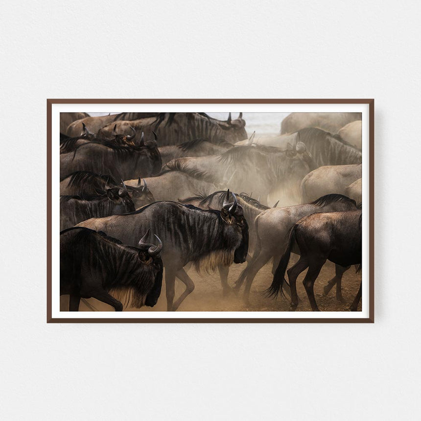 Fine art photographic print by Jonathan and Angela Scott, depicting a herd of wildebeest during migration in Maasai Mara, Kenya.