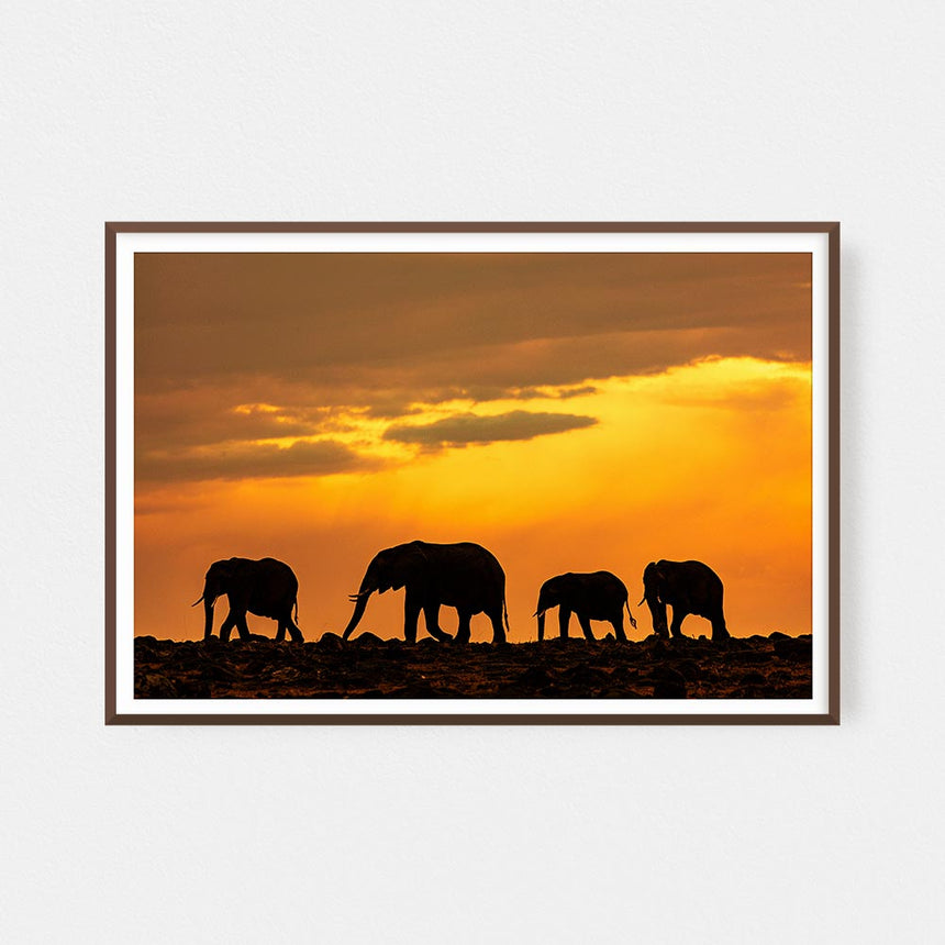 Fine art photographic print by Jonathan and Angela Scott, depicting an elephant herd on the horizon in Maasai Mara, Kenya.