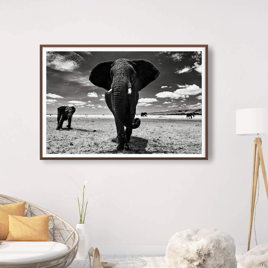Fine art photographic print by Jonathan and Angela Scott, depicting a stunning female elephant in the Musiara Marsh in Kenya.