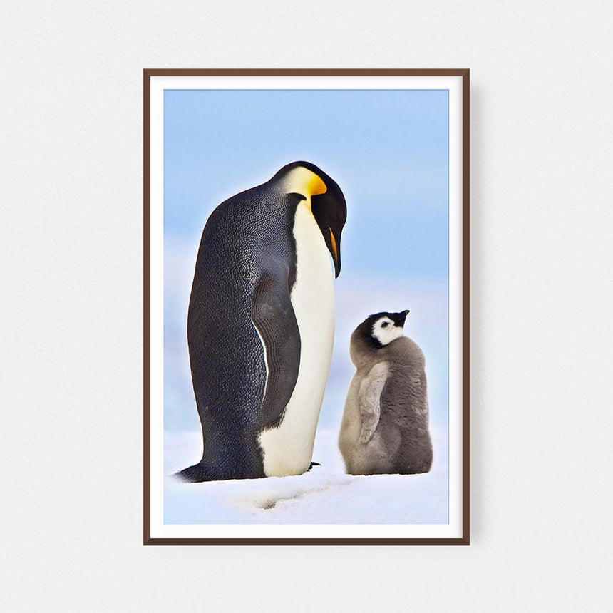 Fine art photographic print by Jonathan and Angela Scott, depicting an emperor penguin and chick in Antarctica.