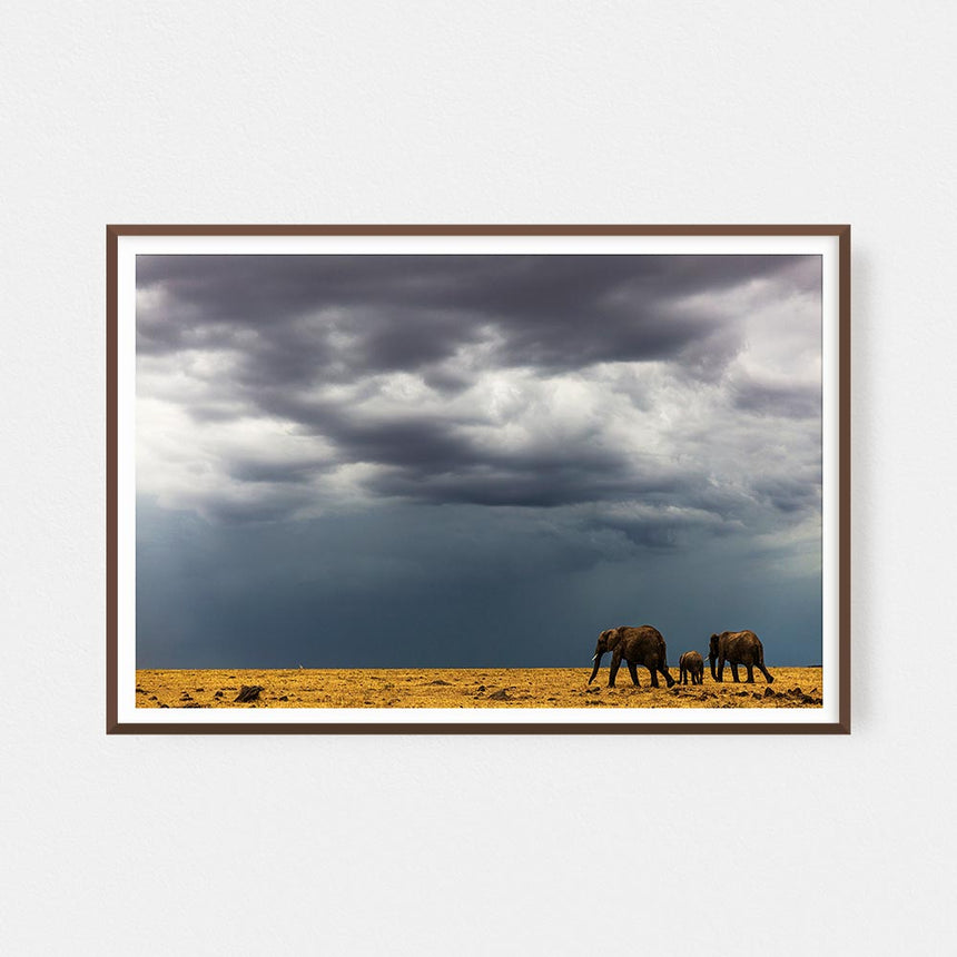Fine art photographic print by Jonathan and Angela Scott, depicting elephants walking before the storm in Maasai Mara, Kenya.