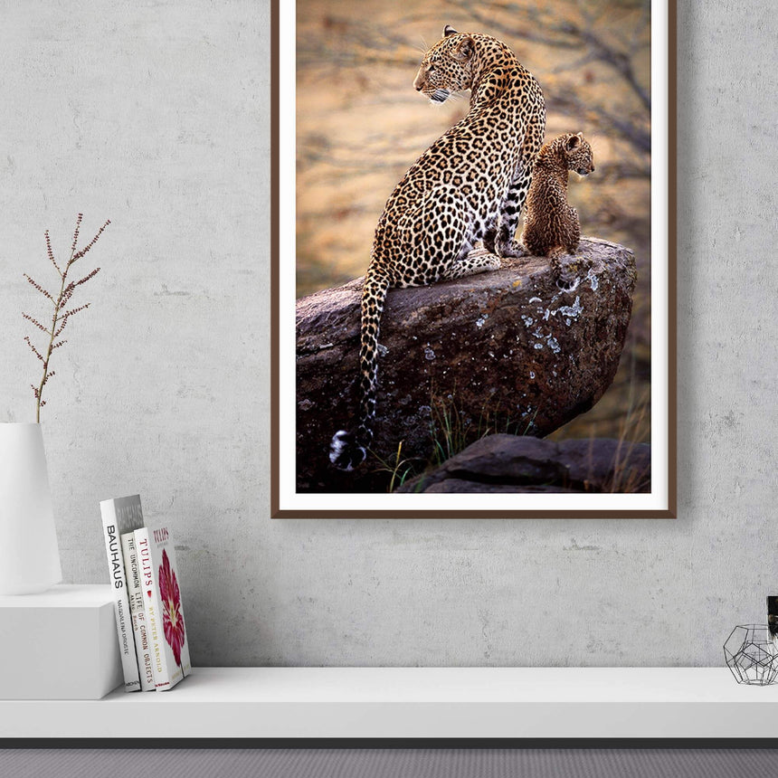 Fine art photographic print by Jonathan and Angela Scott, depicting Zawadi the leopard mother and Safi, her cub, in Kenya.