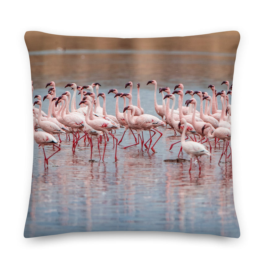 "Pink Splendour" Decorative Pillow – 22"